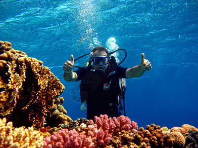 第一次在珊瑚礁附近的红海中与教官一起浸泡在水中珊瑚礁附近的红海中图片
