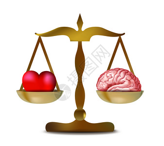 关于分离平衡的3D心脏和大脑的说明图片