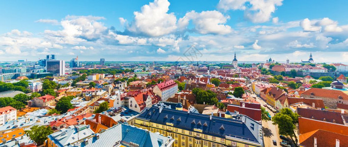 爱沙尼亚塔林老城建筑的夏季风景航空全图片