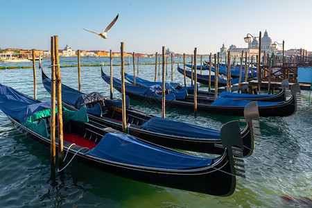 威尼斯的传统歌多拉位于大运河码头附近图片