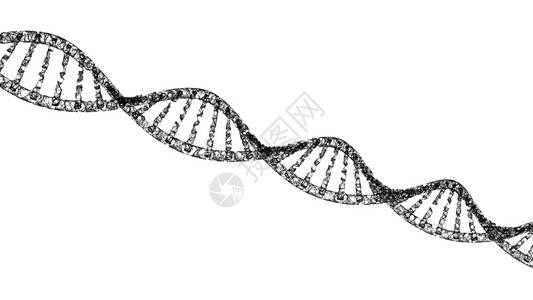 脱氧核糖酸螺旋模型医学和网络连接线在白色背景上分离科学医和化概念中的抽象未来技术结构3d插图图片