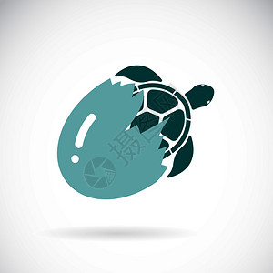 微信新表情五阿哥白底从蛋里出来的海龟矢量野生动物易编辑的多层矢量