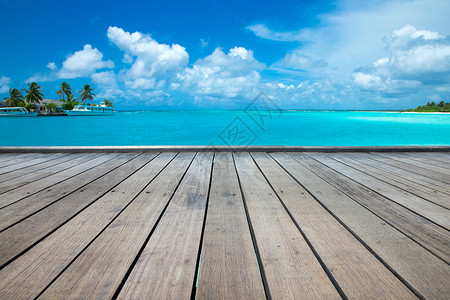 美丽的热带马尔代夫岛蓝天上有海滩和椰子棕榈树图片
