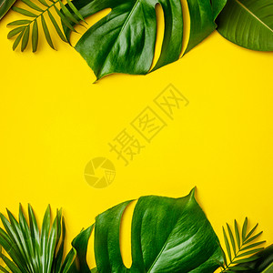 热带树叶和黄色背景的鲜花最低概念平板图片