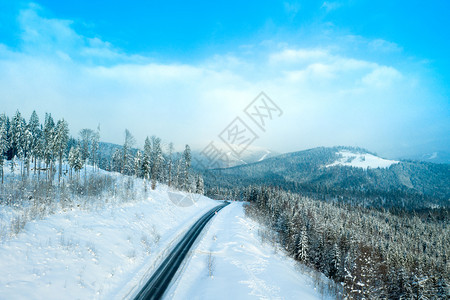 美丽的冬季森林和道路图片