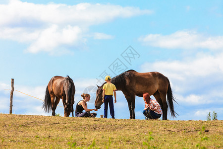 人们照顾棕色马匹女和野外动物人们照顾马匹图片