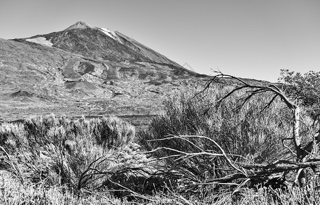 加那利群岛特内里费的铁面火山黑白地貌图片