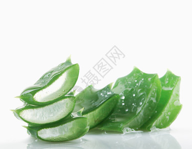 白色背景上的AloeVera图片