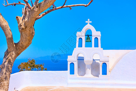希腊圣托里尼奥亚镇希腊圣托里尼的老白贝利和干树希腊风景图片