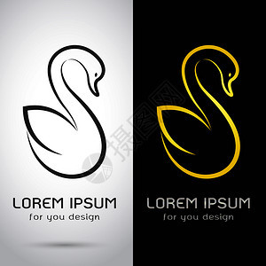 白色背景和黑的天鹅设计矢量图像Logo符号图片