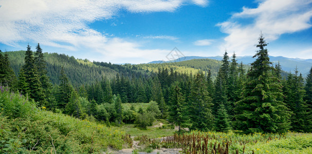 喀尔巴阡山脉的图景观山脉背的隐森林图片