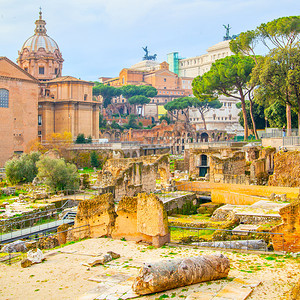 意大利罗马论坛废墟的城市风景图片