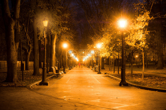 城市公园小巷长板树木和灯具图片