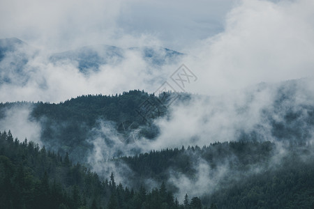 迷雾般的山地和森林貌夏季雾和云美国烟般的山地公园雾和森林地貌夏季雾和云般的早晨图片