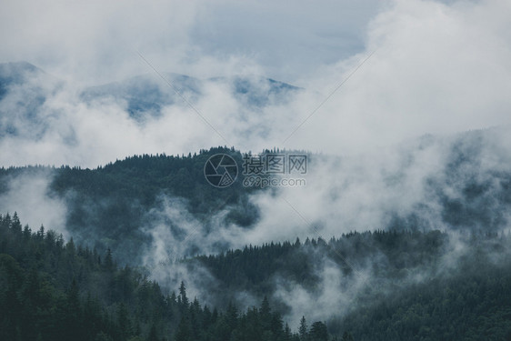 迷雾般的山地和森林貌夏季雾和云美国烟般的山地公园雾和森林地貌夏季雾和云般的早晨图片