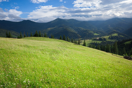 夏季山区青草和蓝天空景观图片