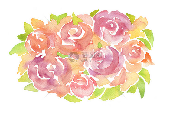 丙烯和水彩玫瑰花画背景孤立无援图片