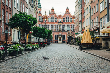 波兰格但斯克的旧城街和孤独鸽子旅行目的地格但斯克旧城街和孤独鸽子图片
