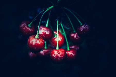 深黑背景的红樱桃健康季节水果图片