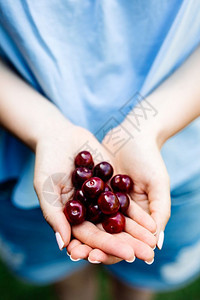 年轻女人手里握着小樱桃摘水果收获健康食物近距离接女人手里握着樱桃图片