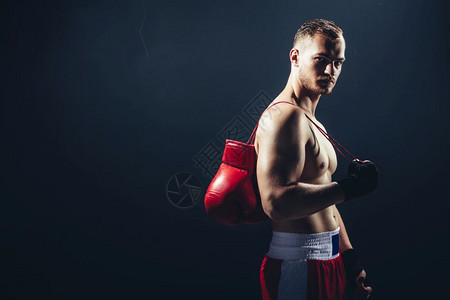 拳击手在黑色背景背着红色拳套展示着肌肉图片