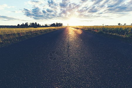 草地和日落乡村道路图片