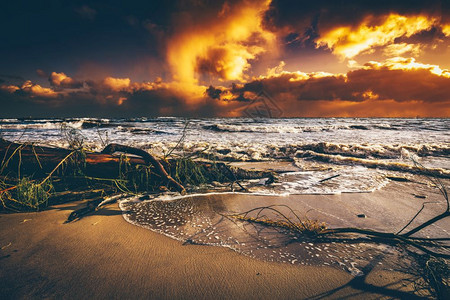 日落时风雨后沙滩景色野生自然观天气现象图片