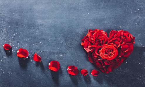 石头背景上的红玫瑰情人节爱和浪漫的象征复制空间石头背景上的红玫瑰图片