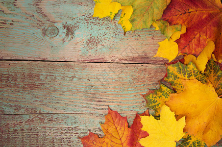 木背景的秋叶图片