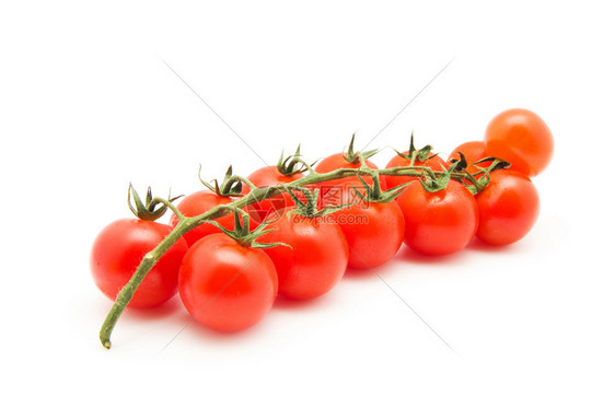 白底孤立的番茄樱桃分枝图片