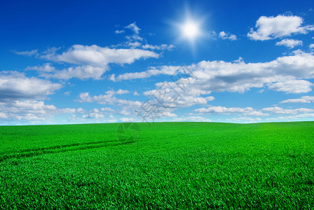 明适应和暗适应绿色草地和明蓝天空的图像背景