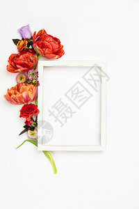 白古板和色背景的花朵平板图片