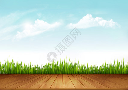 大自然春季背景绿草和木甲板矢量图片