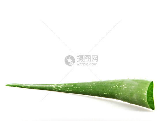 白背景的AloeVera图片