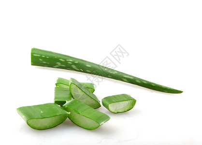 白背景的AloeVera图片