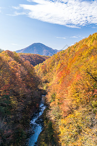 日本秋天从福岛桥起图片