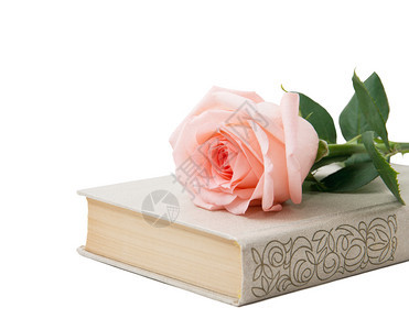 玫瑰和旧书孤立了白色背景图片