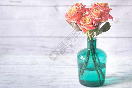 木背景花瓶里的朵图片