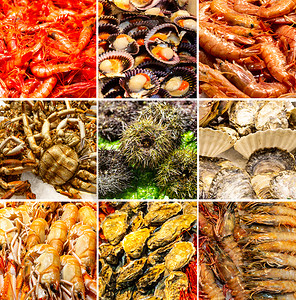 西班牙特纳里费鱼市海洋产品照片集图片