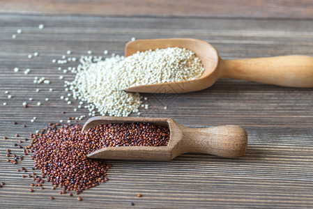 木本底的原白和红quinoa图片