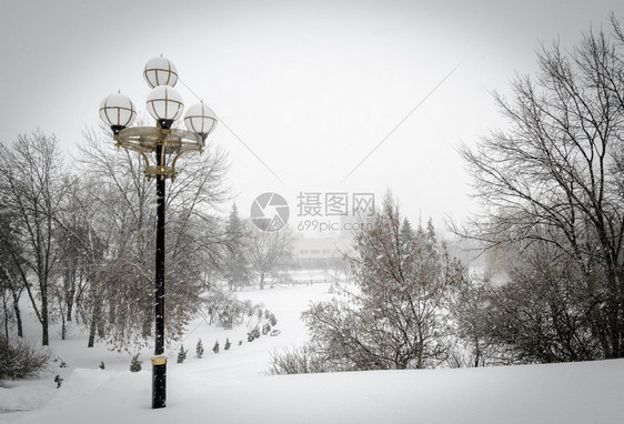 雪公园图片