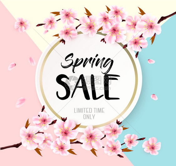春季销售背景粉红色盛开的沙库拉矢量图片