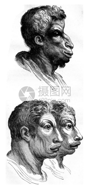 氧骆驼古代雕刻的插图地球比人类先于186年图片