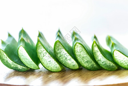 AloeVera的新鲜叶子图片