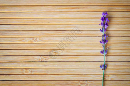 木质纹理上的紫色设计元素图片