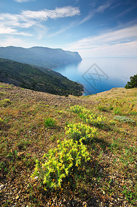 山地海景观自然的构成图片