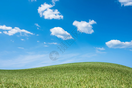夏季阳光明媚的日间草地全景美丽的自然图片