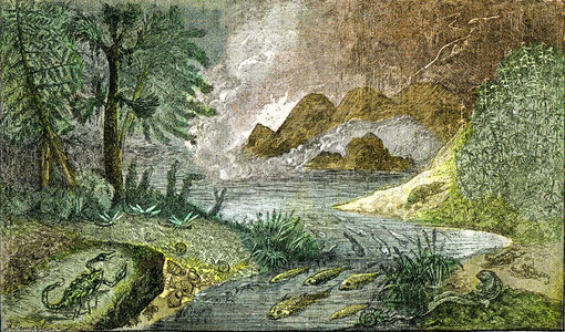 在伯尔米安时期大陆和淡水的定居由自然创造和生物组织撰写的陈年插图图片