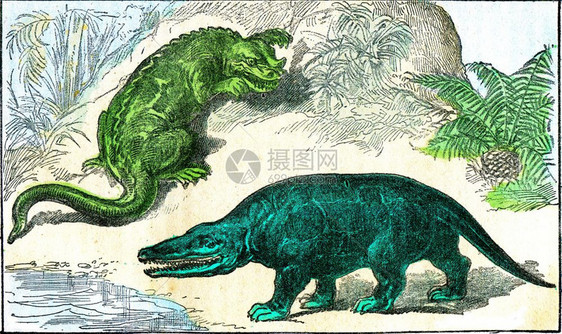 白鲸时期的海瓜登和巨龙由自然创造与生命组成的古代雕刻图解图片