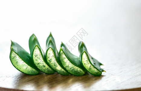 AloeVera的新鲜叶子图片